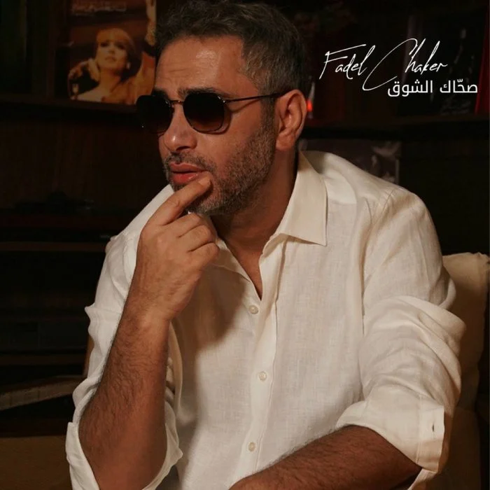 مشاهدة اغنية روبي ثانيتين Mp3 موقع هنديكا