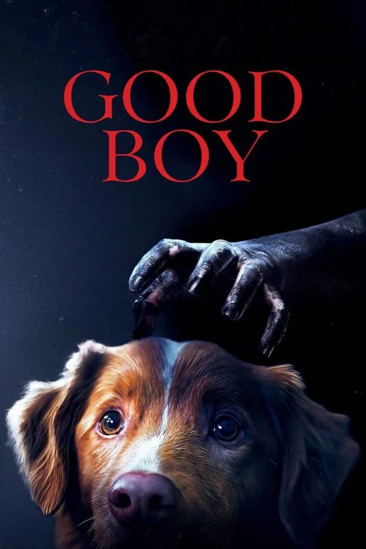 مشاهدة فيلم Good Boy 2025 مترجم موقع هنديكا